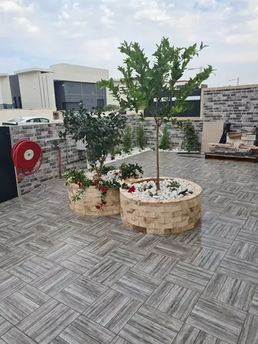 עיצוב ושדרוג גינה פרטית 3